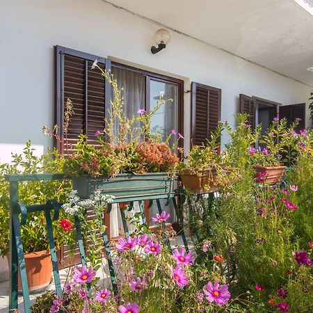 Apartment Vinka Trogir Exterior foto